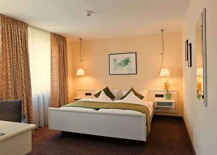 杜特斯赫尔酒店 特里尔