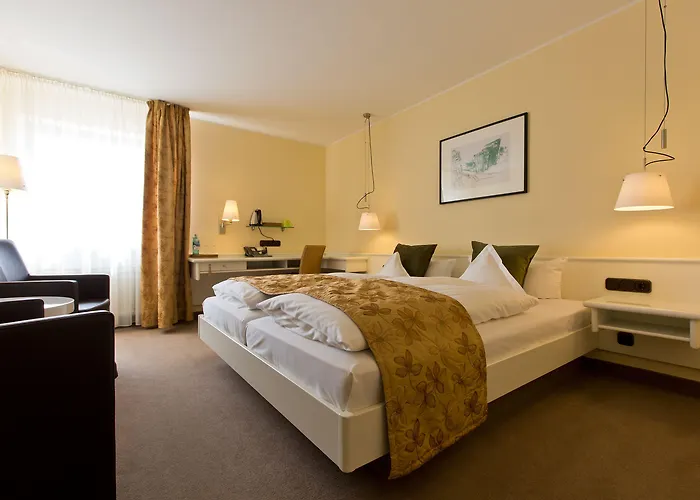 酒店 杜特斯赫尔酒店 特里尔