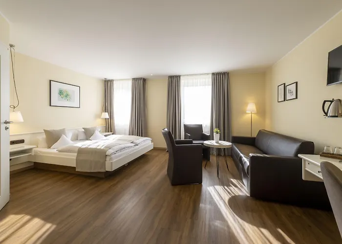 杜特斯赫尔酒店 3* 特里尔