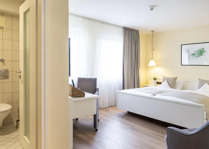 杜特斯赫尔酒店 酒店 特里尔